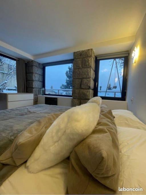 Appartement Hyper Centre Romeu