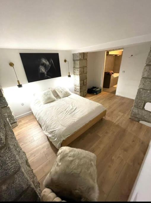 Hyper Centre Romeu Appartement